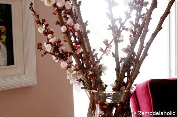 How to Force Branches to Bloom