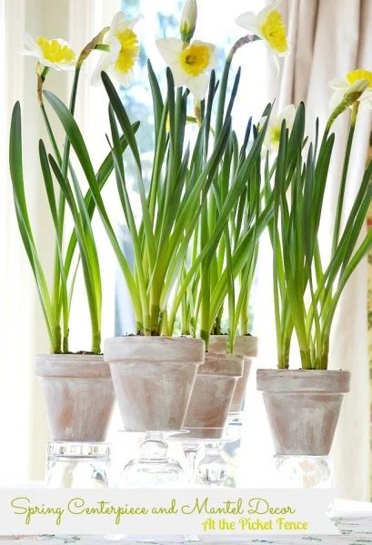 Spring Centerpiece