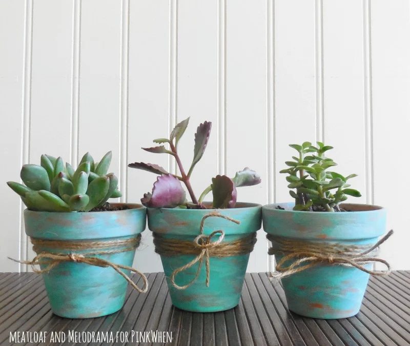 Rustic Succulent Pots 5