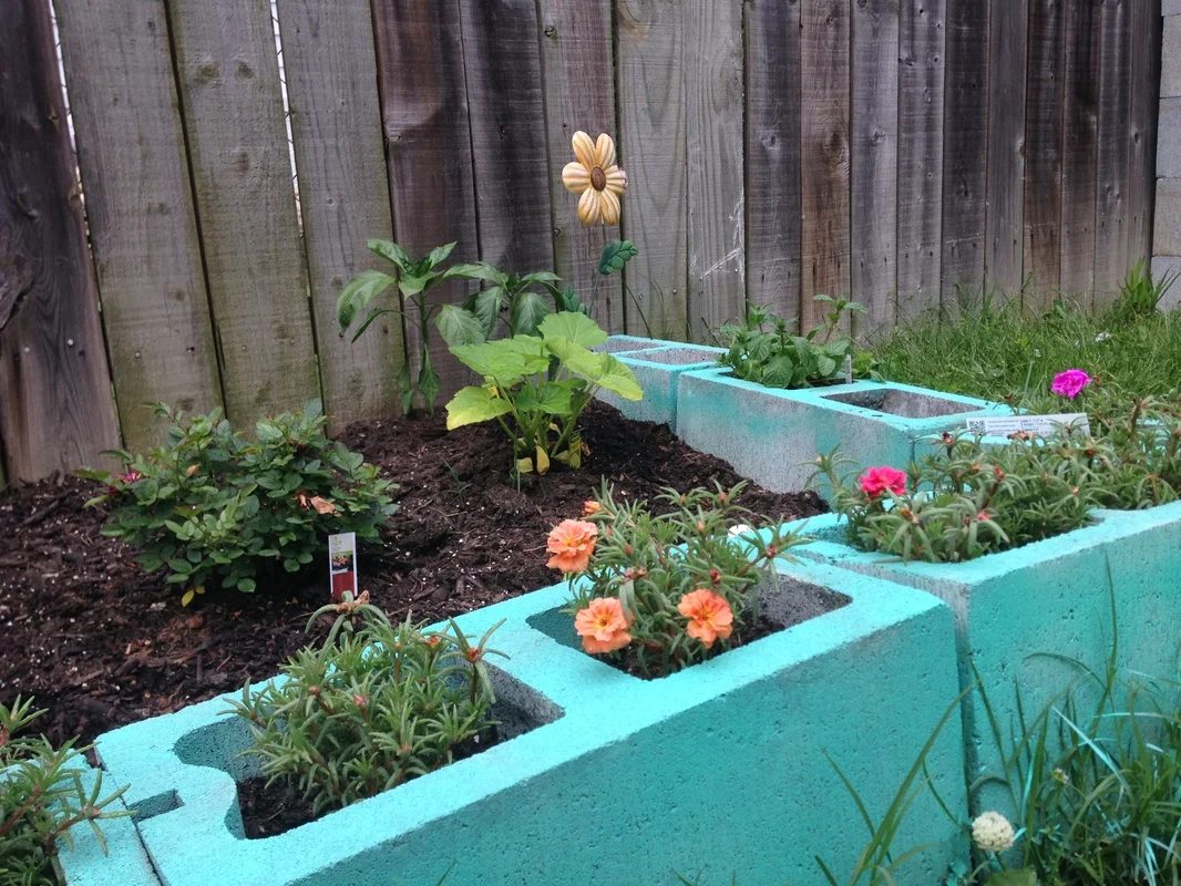 Use colorful painted cinderblocks for garden edging and plants featured on Bekob.com