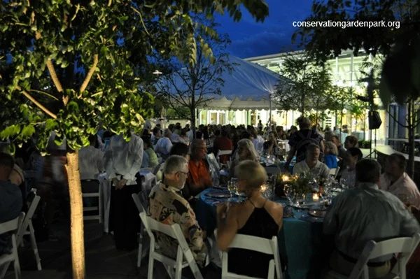 Summer Soiree!
