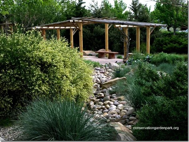 High Desert Garden