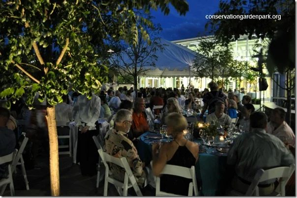 Gala Nighttime Photo