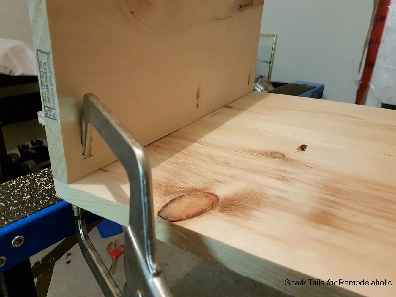 first-time Night Stands7 Shark Tails