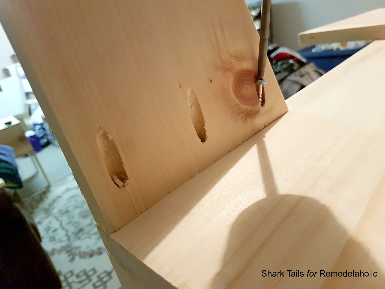 first-time Night Stands10 Shark Tails