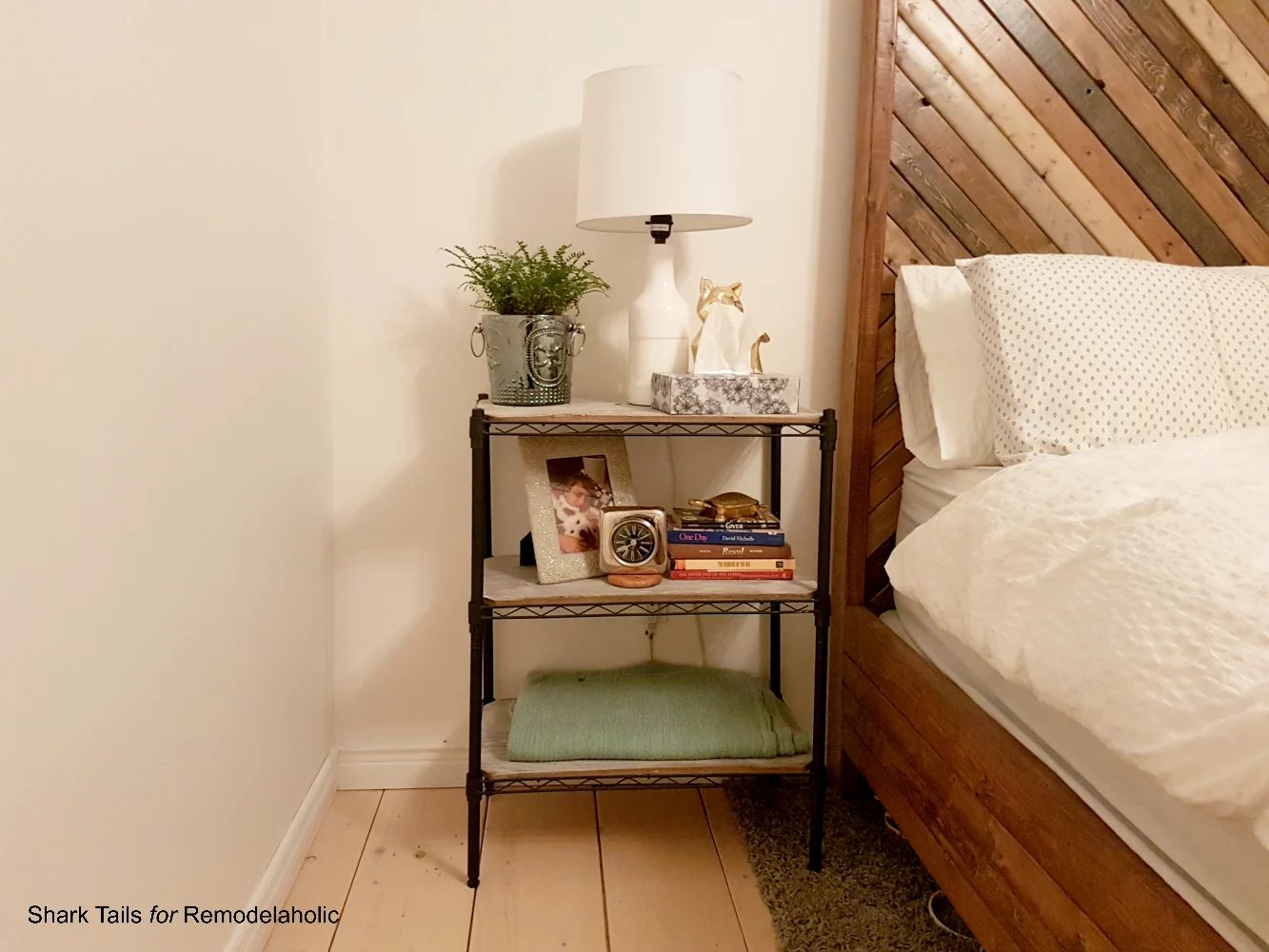 first-time Night Stands14 Shark Tails