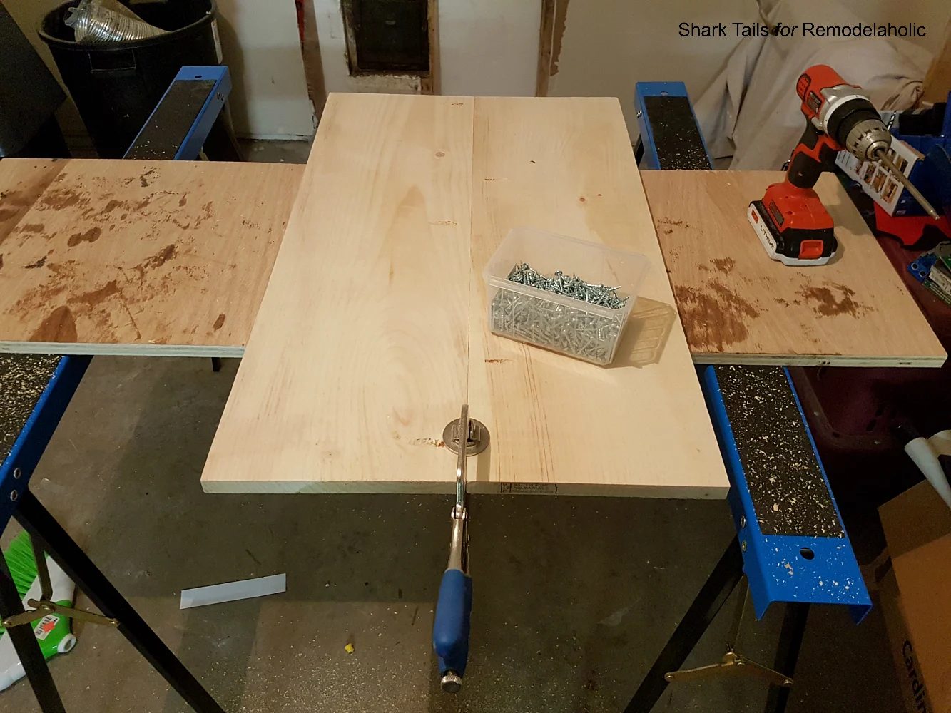 first-time Night Stands6 Shark Tails