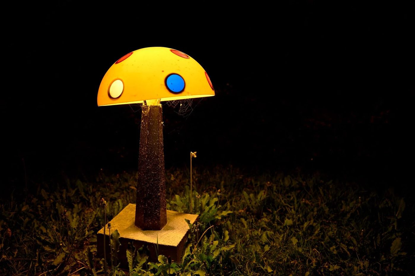 Mushroom Furniture