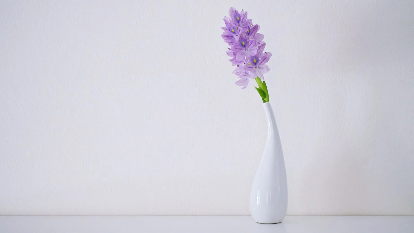 Purple Flower On A Vase