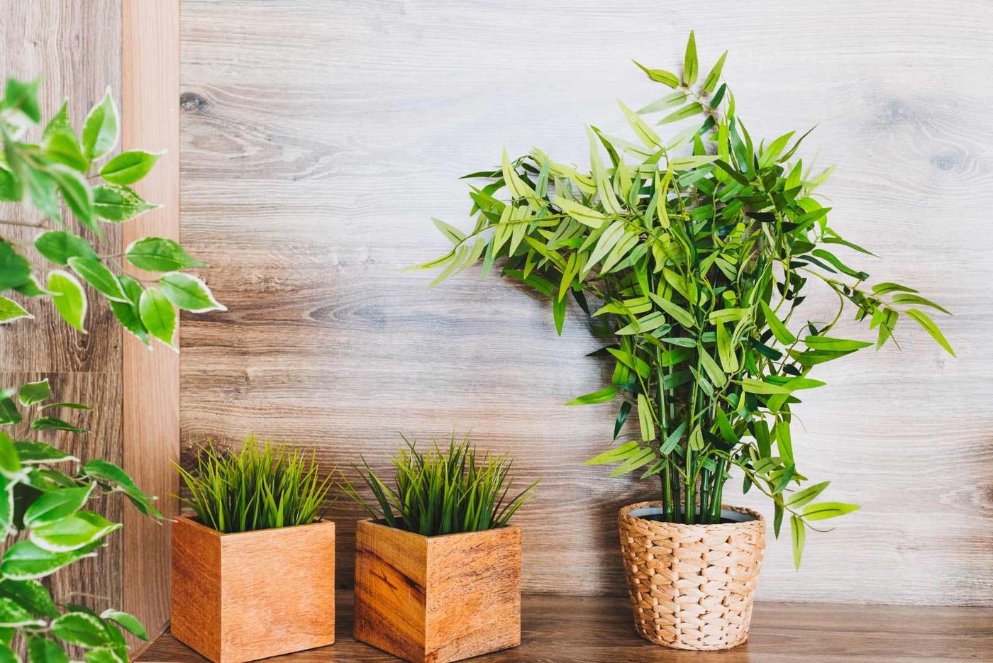 Artificial Plants