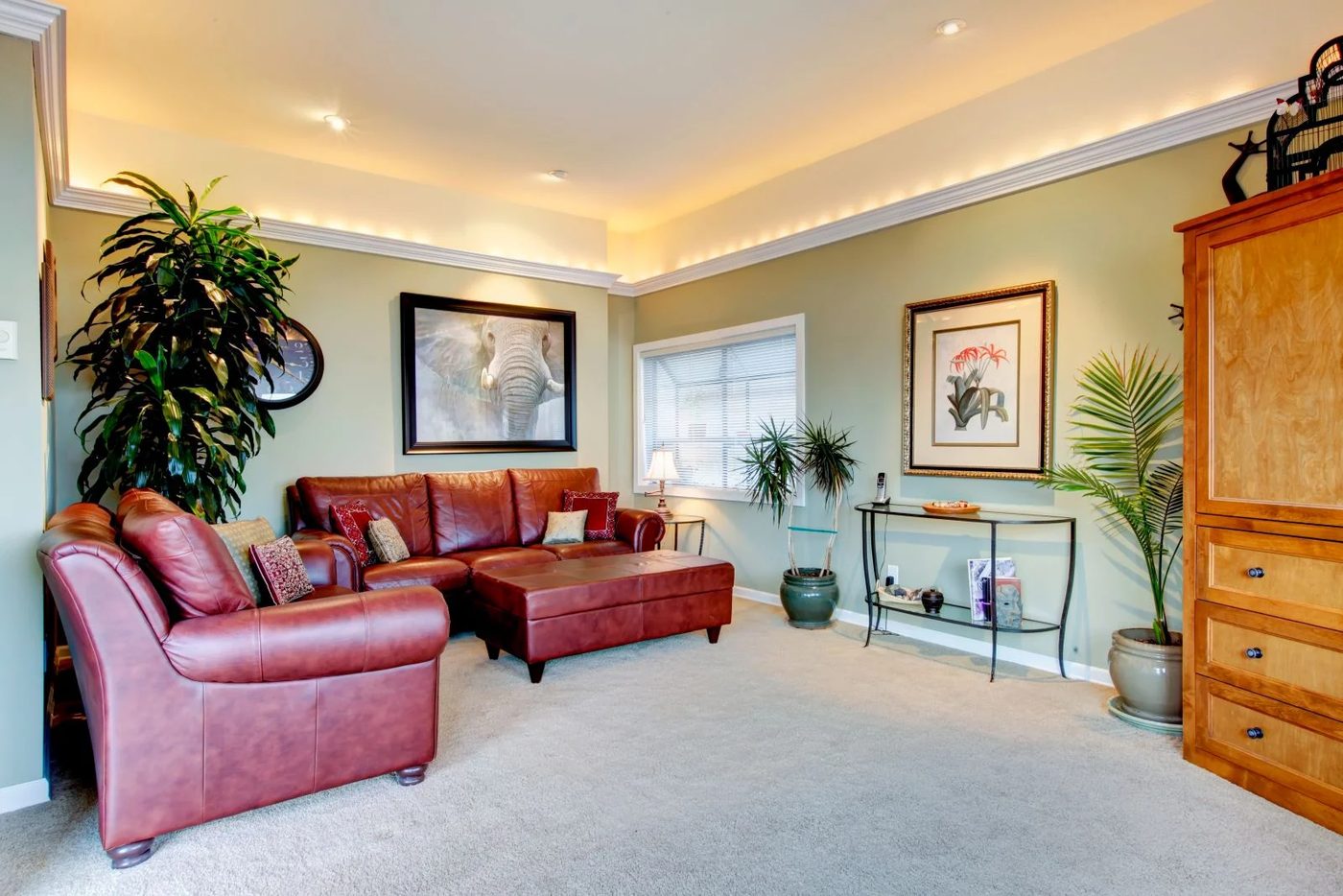 Living Room With Plants
