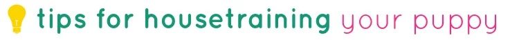 tipsaholic-tips-for-housetraining-your-puppy-title