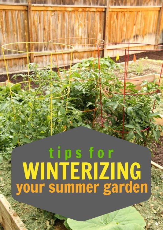 Tips for Winterizing Your Summer Garden via Tipsaholic.com