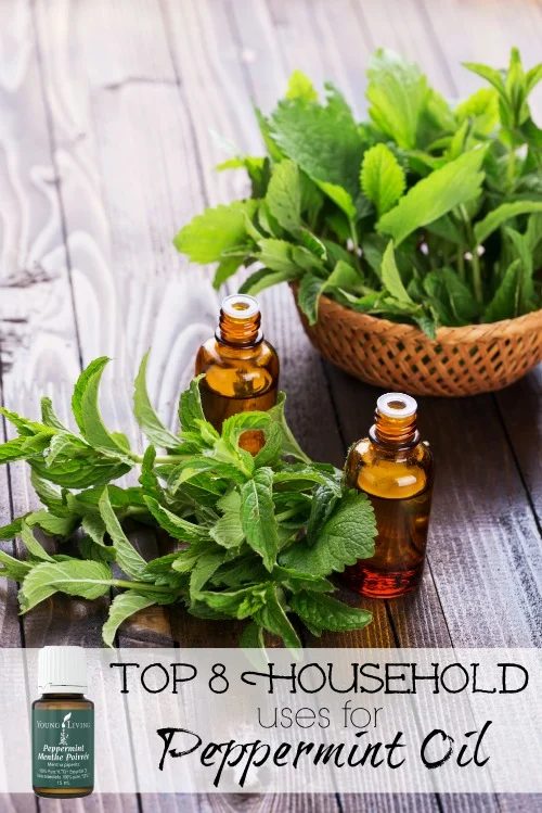 Add these uses for peppermint oil to your home maintenance checklist and give your house a natural boost. Top 8 Household Uses for Peppermint Oil via @tipsaholic #peppermint #oils 