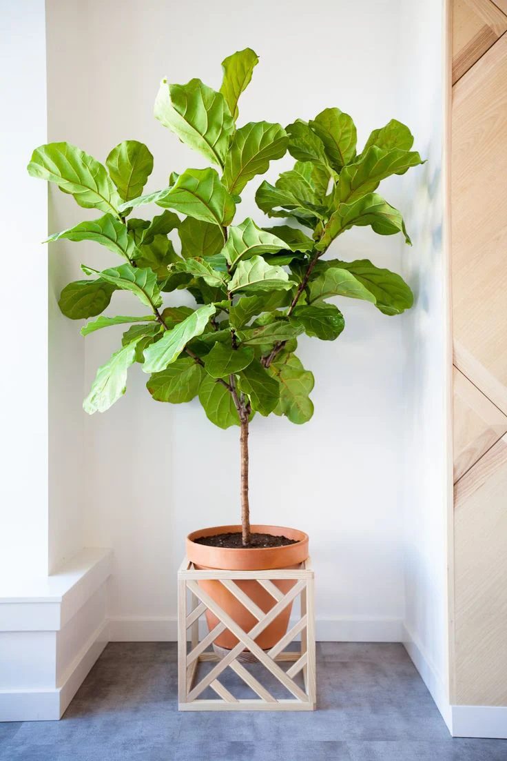 build a fretwork planter stand