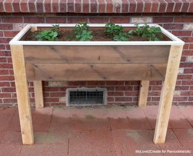 full front of elevated planter box, MyLove2Create for Bekob