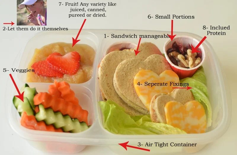 school lunch tip - sending healthy food for lunch, clearly Healthy Kids