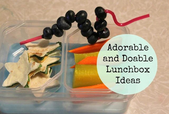 cute school lunch options, Lille Punkin