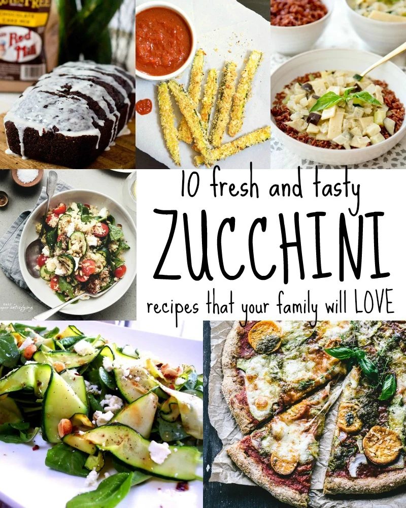 Ten Zucchini Recipes Your Family Will Love via Tipsaholic.com