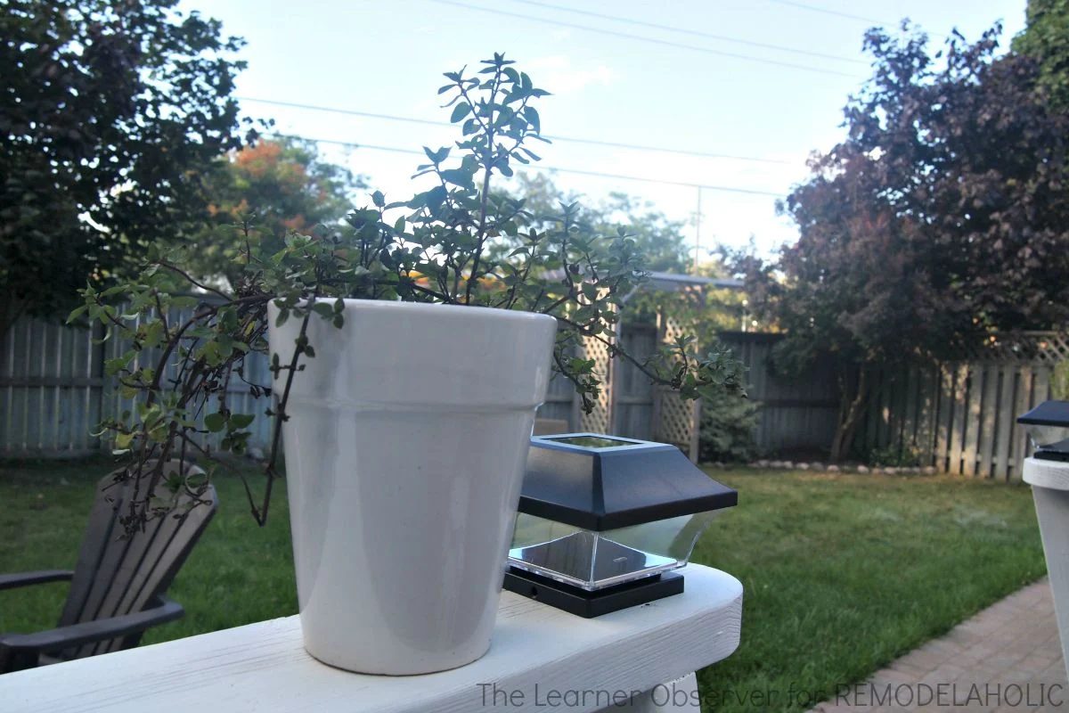 Deck makeover on a modest-cost - The Learner Observer for Bekob