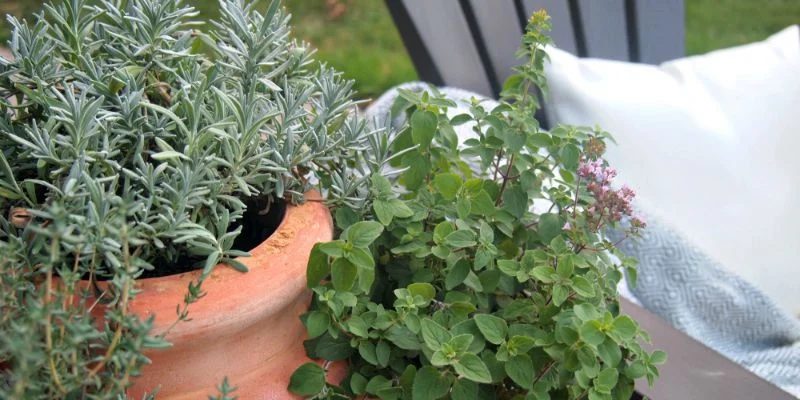 Transform your backyard into an oasis on a modest-cost