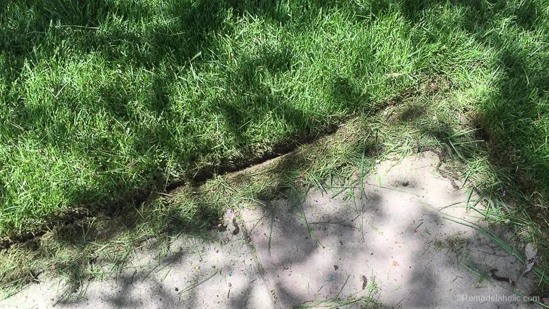 Tips For Trimming And Edging Your Lawn Like A Pro With Stihl @Bekob 31