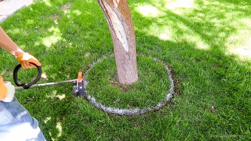 Lawn maintenance, protect your trees, Stihl products from Bekob