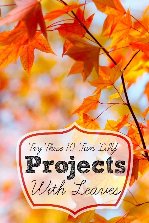 Celebrate fall with these 10 fun Handmade projects with leaves, either real ones from your yard or faux ones from a craft store or dollar store. Try These 10 Fun Handmade Projects 