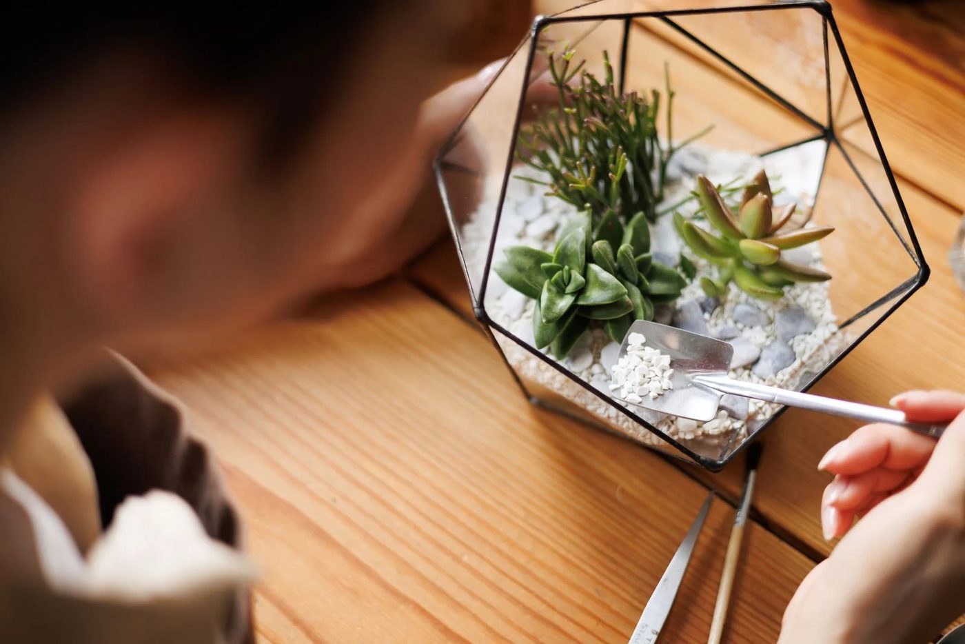 Indoor Terrarium
