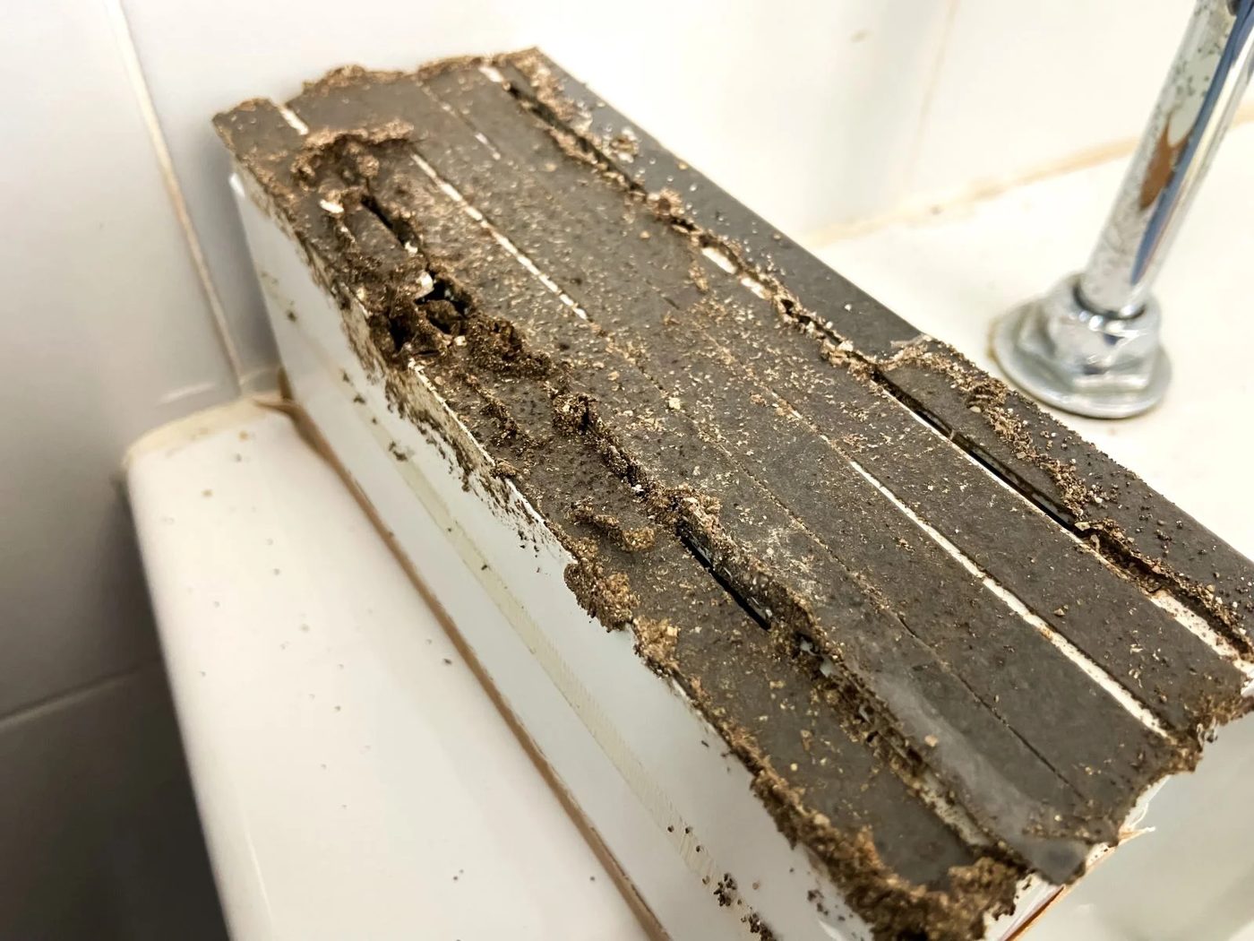 Termite Trap