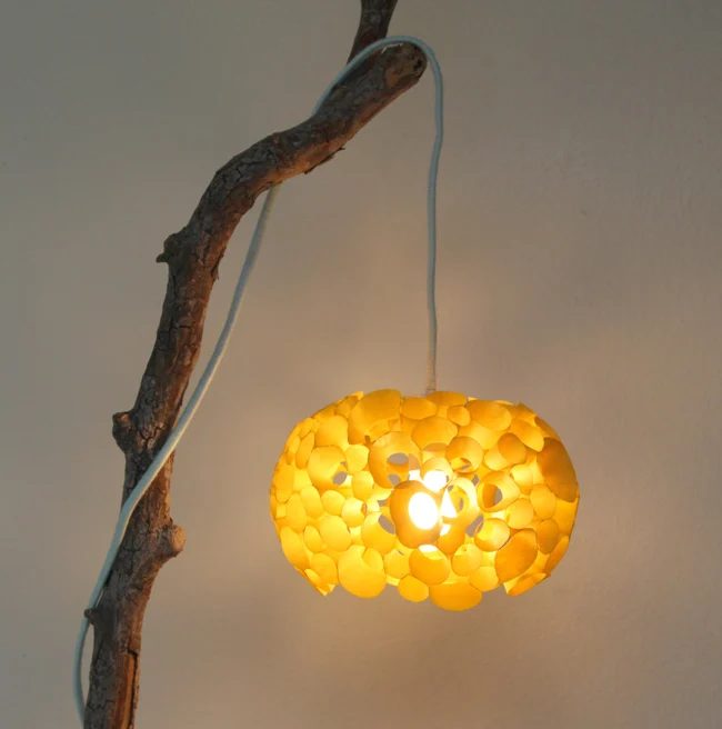 A homemade coral hanging lamp.