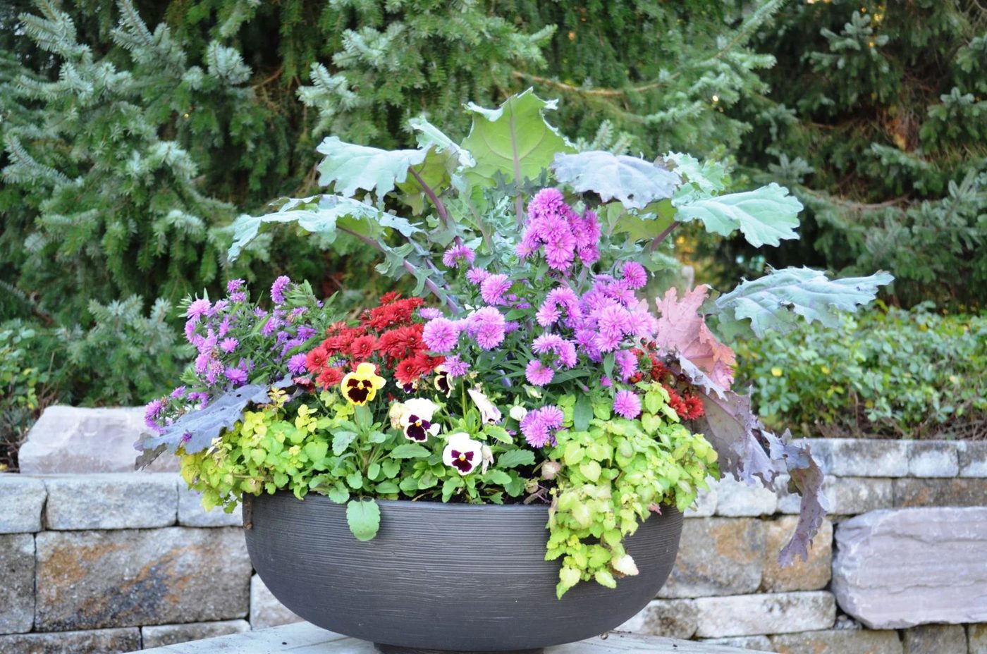 Enhance Your Space With Unique Outdoor Planter options