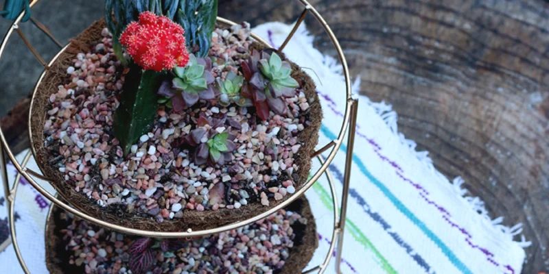 Upcycled Fruit Basket Centerpiece Planter