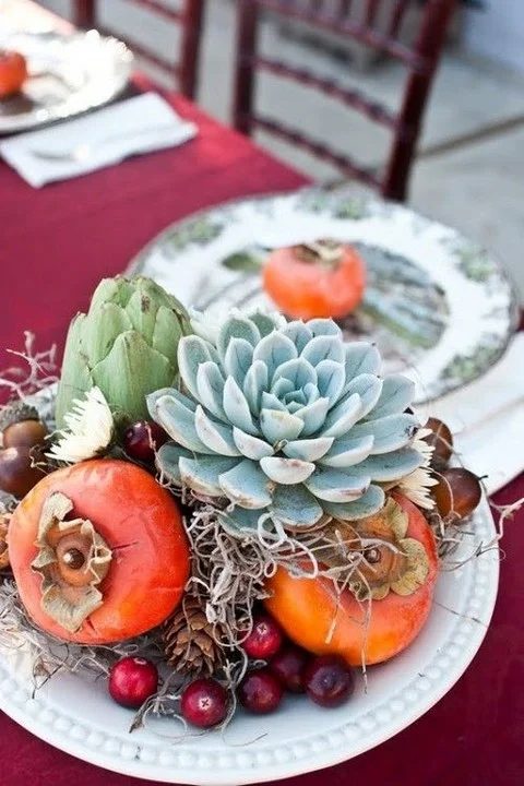 persimmon and succulents