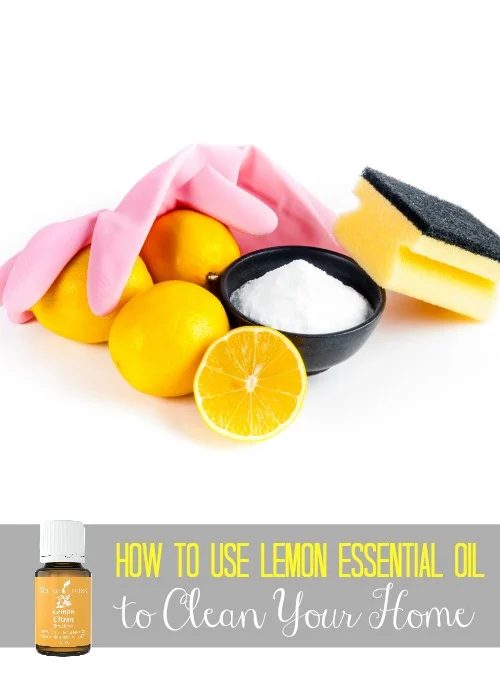 Lemon essential oil is a great cleaning aid, thanks to its strong citrus scent and D-limonene. Find how to use lemon essential oil to clean your home! How to Use Lemon Essential Oi