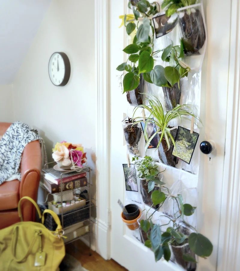 Create a Vertical Indoor Hanging Planter #Bekob