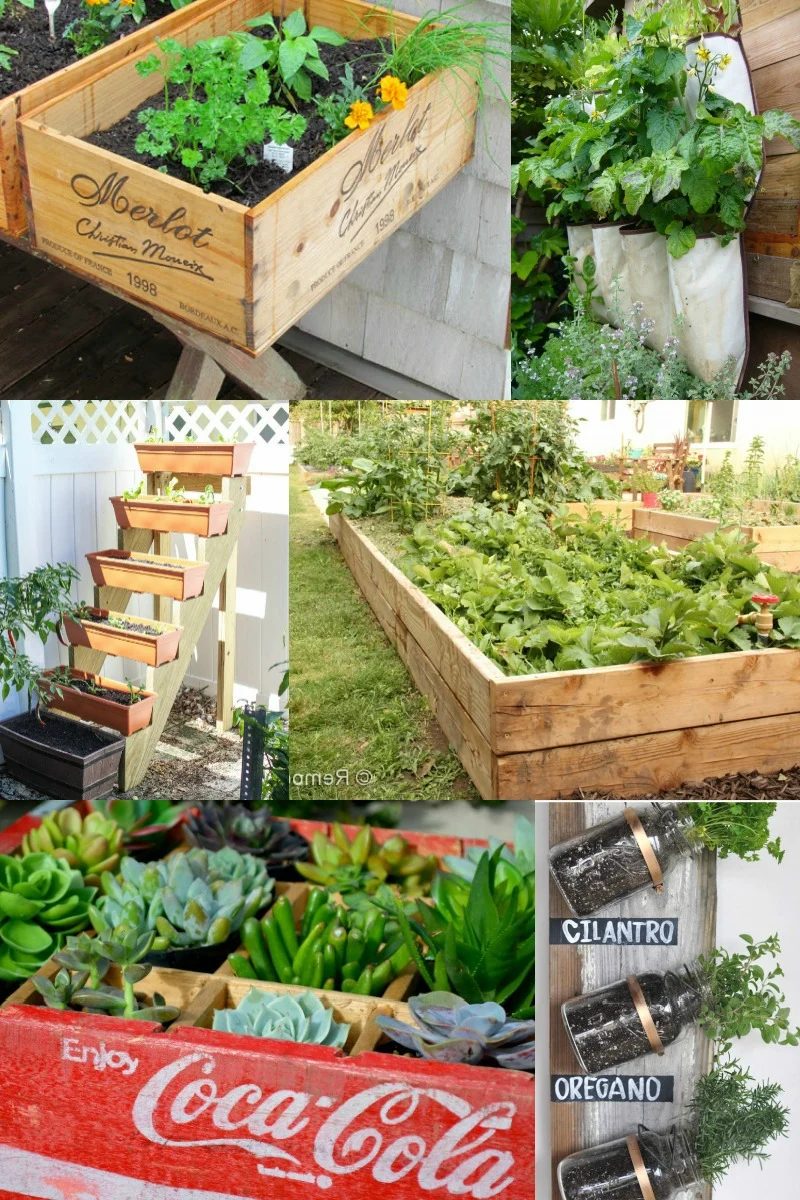 gardening wayfair