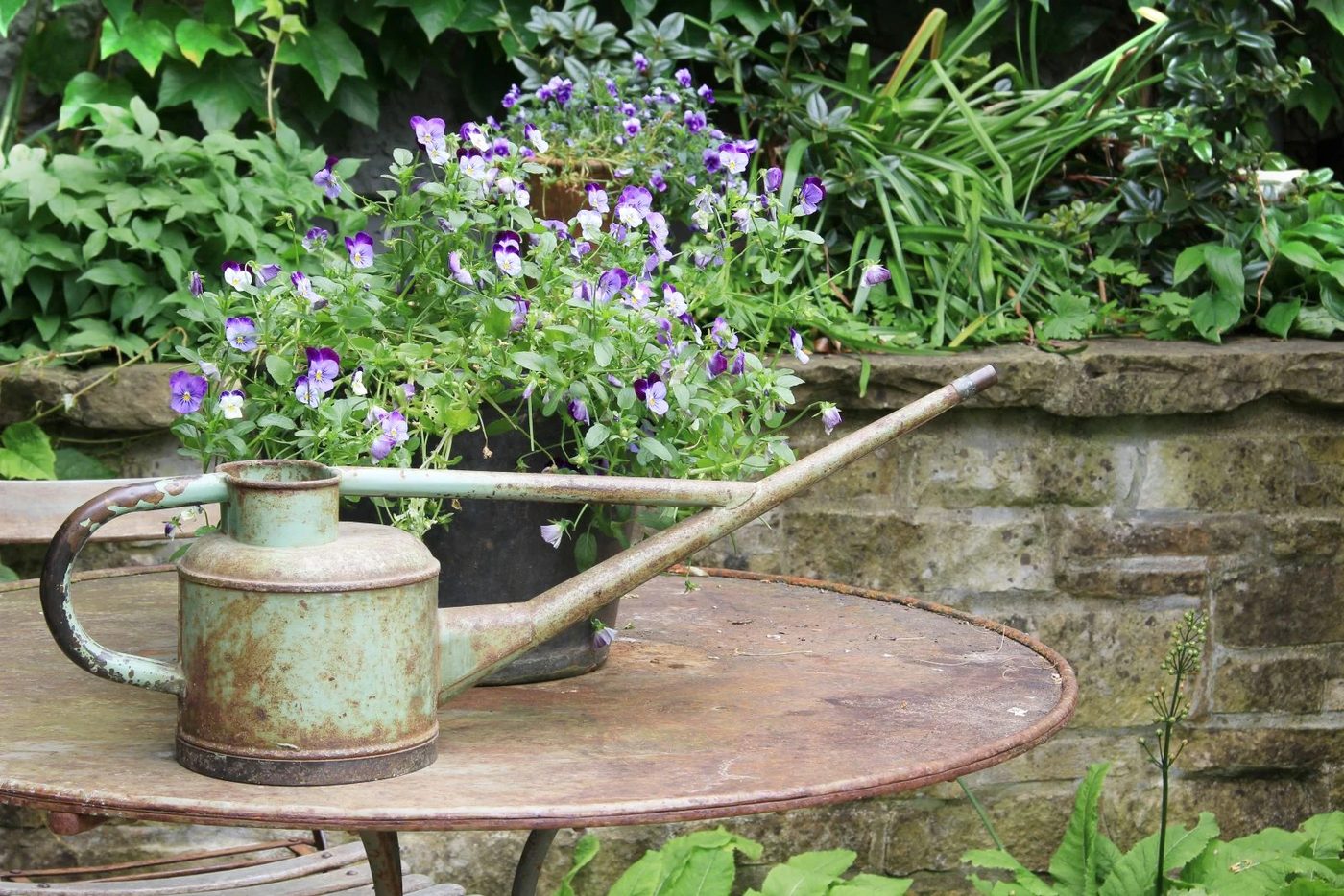 Vintage Watering Can