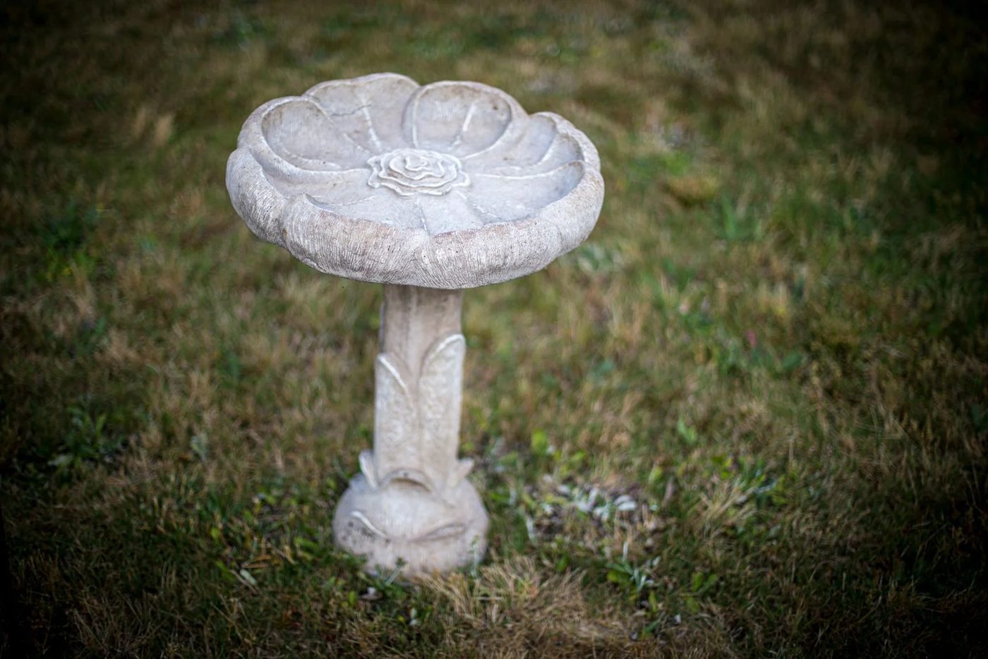 Vintage Bird Bath