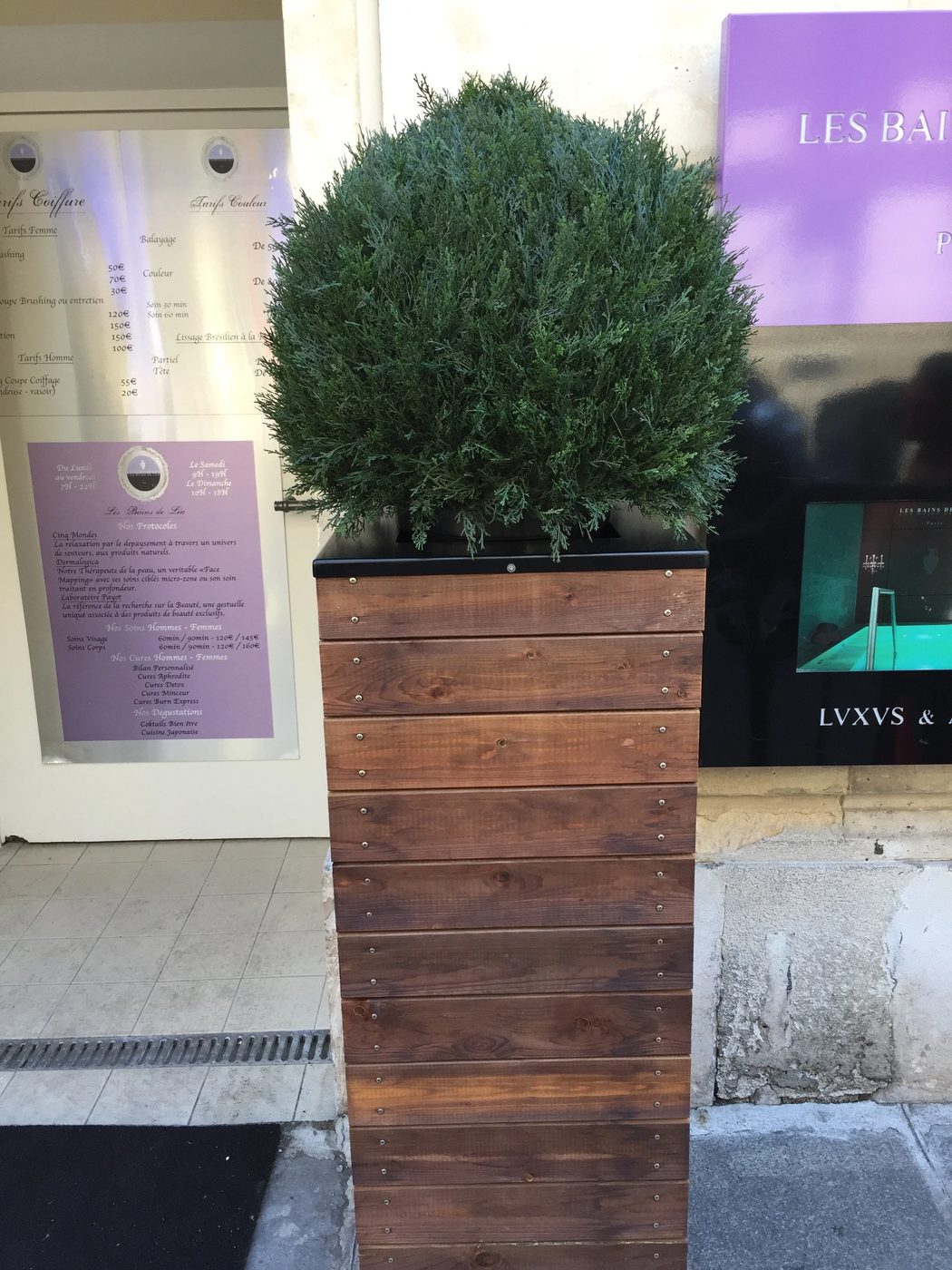 Build this tall wooden planter for $50 or less, inspired by a luxe French hotel! These would be great for the entry.