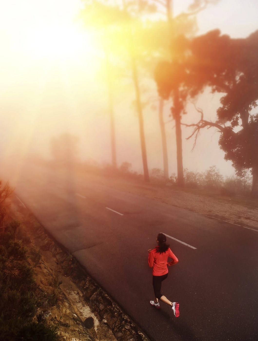 Walking or Running: Which Exercise Should You Do?