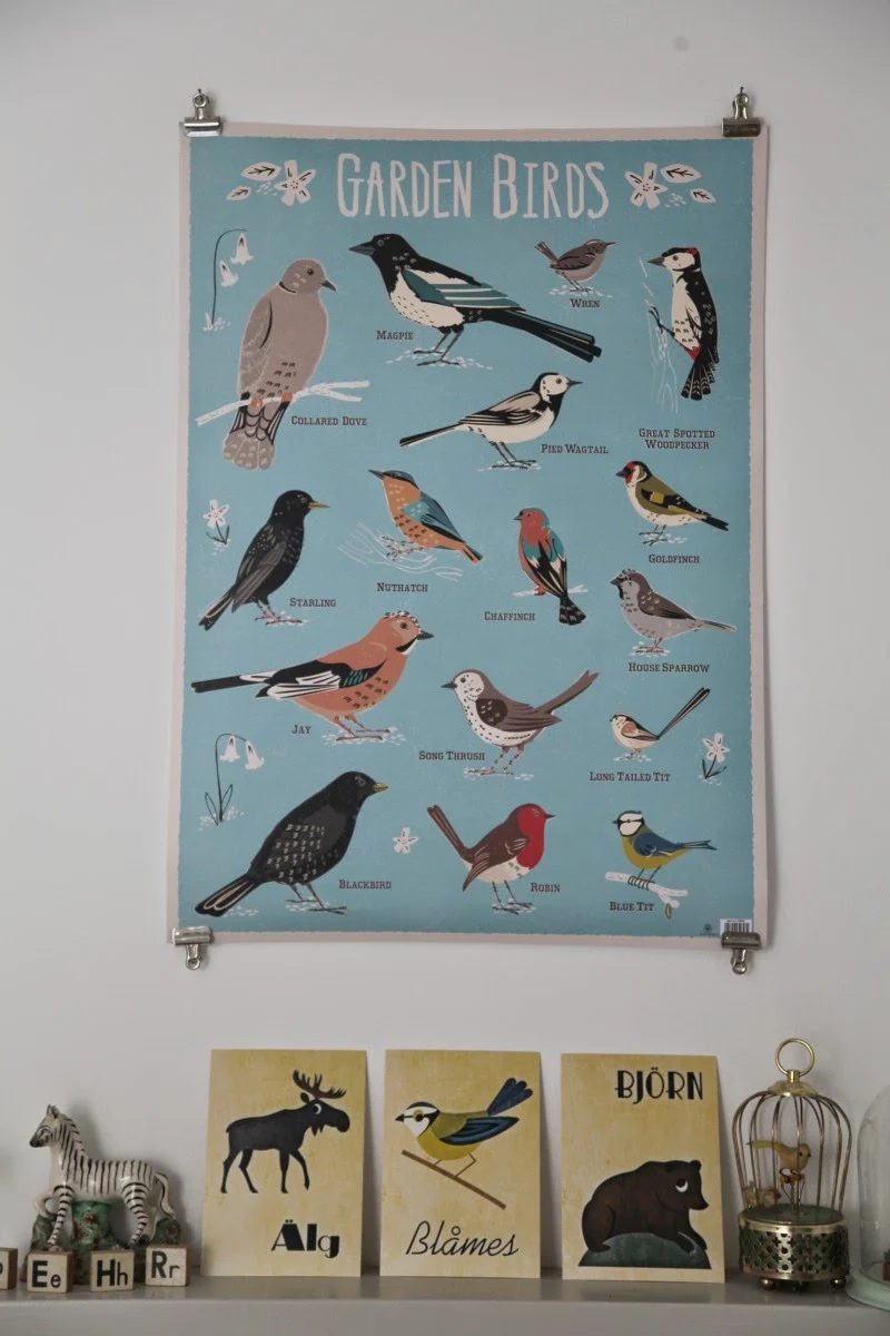 hang a poster with 4 clips on the wall (Junkaholique)