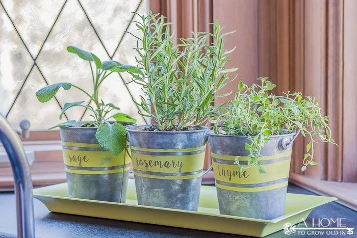 how to age low-cost metal buckets for an herb garden, by A Home To Grow Old In