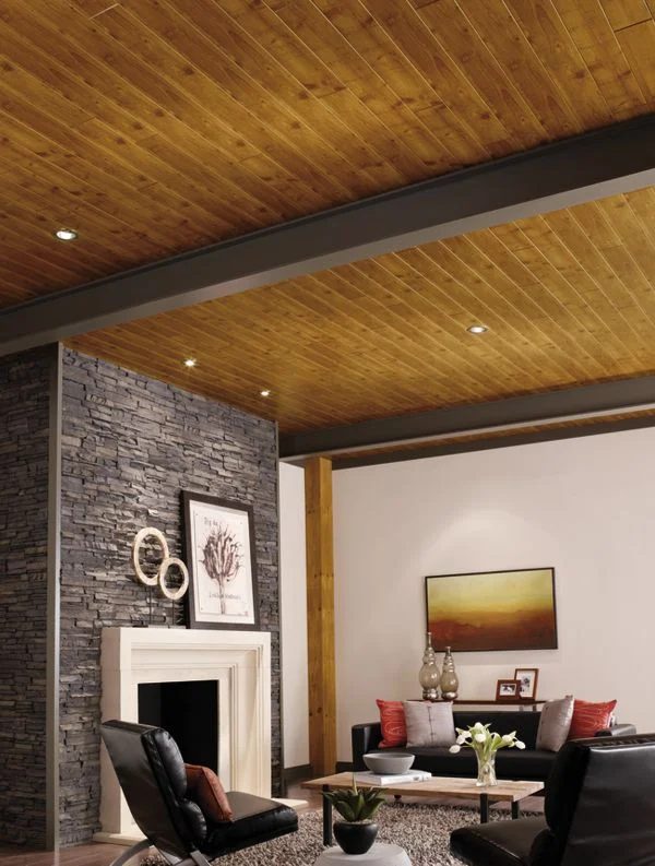 The Ceiling Cover Up