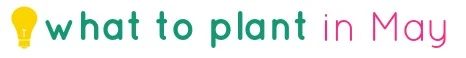 tipsaholic-what-to-plant-in-may-title