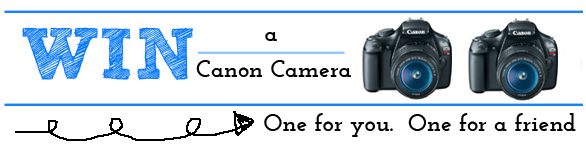 fb camera header3