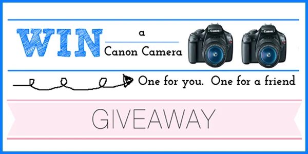 Win a Camera!!!