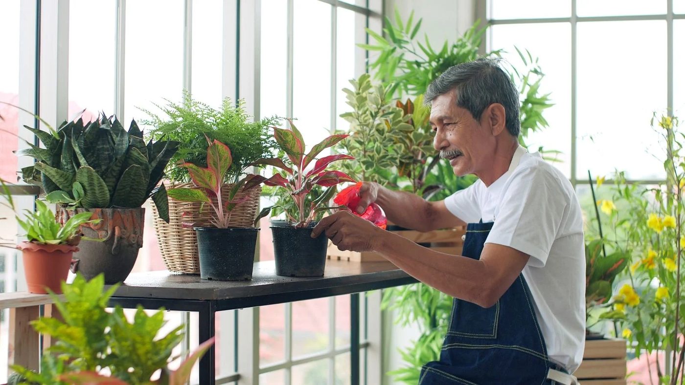 Old Man Watering Plant