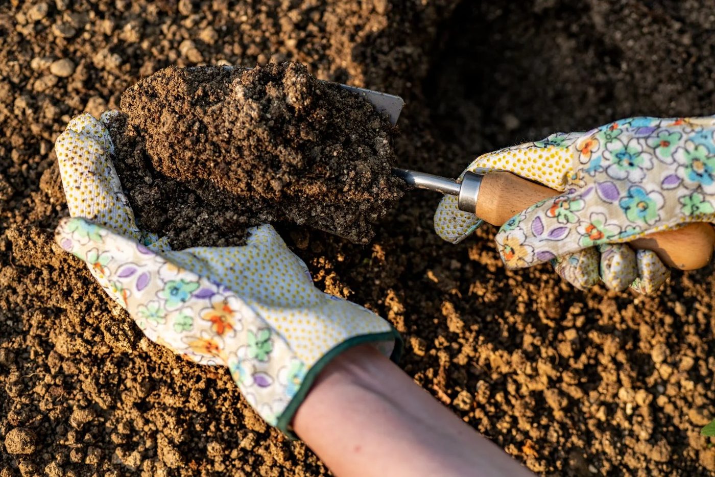 Preparing Soil