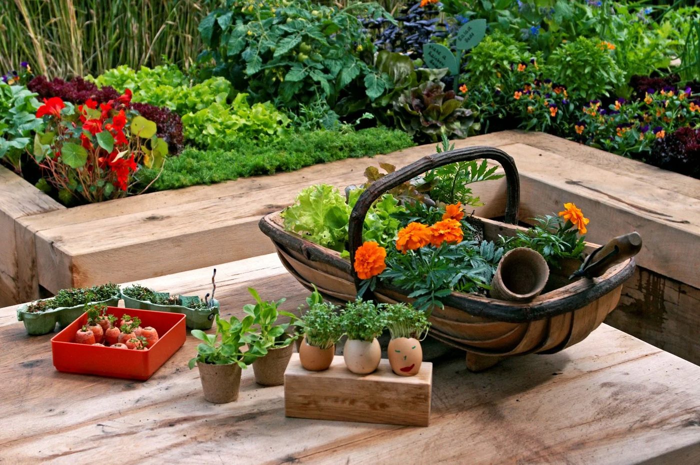 Garden Diy Projects